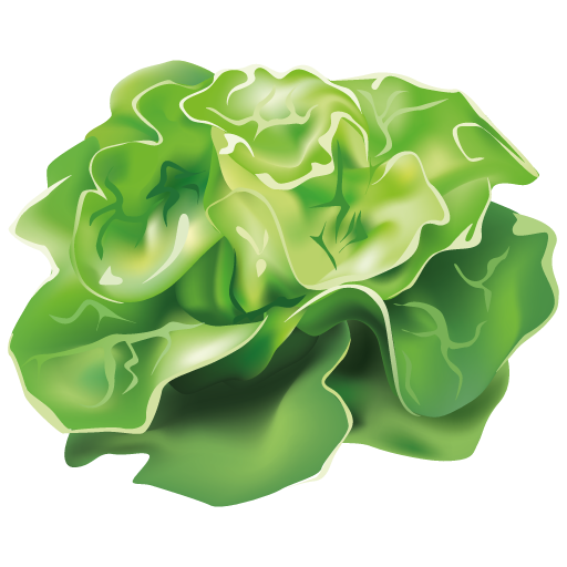 Feuilles